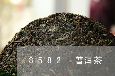 8582 普洱茶/2023031712945